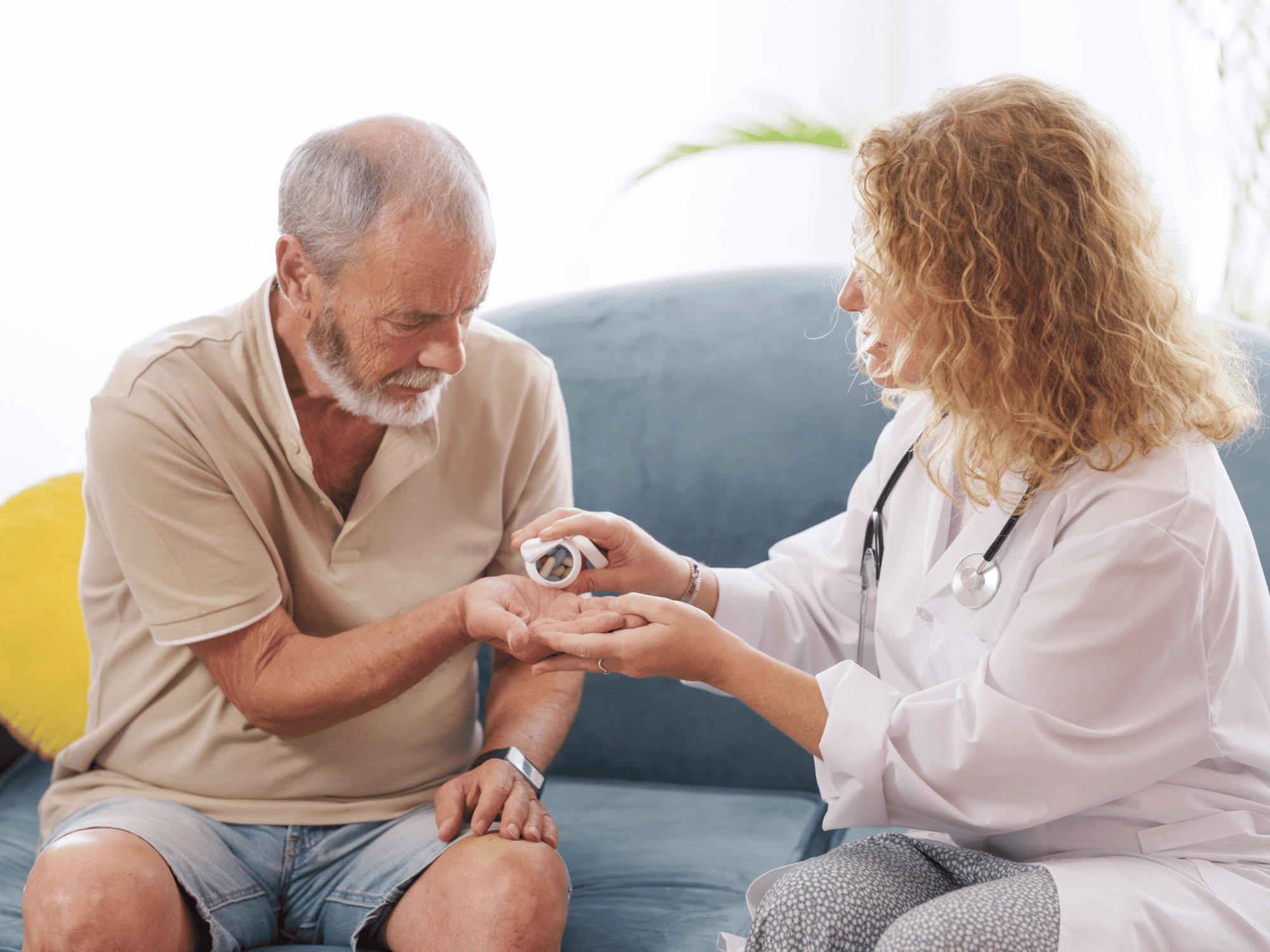 Home Care (Non-Medical) Agencies